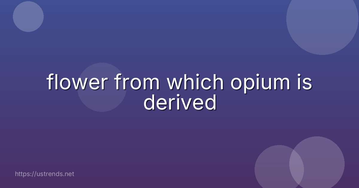 flower from which opium is derived