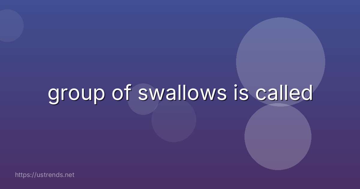 group of swallows is called
