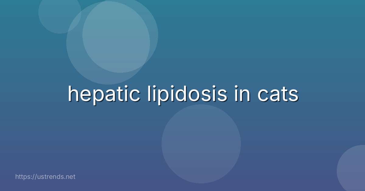 hepatic lipidosis in cats