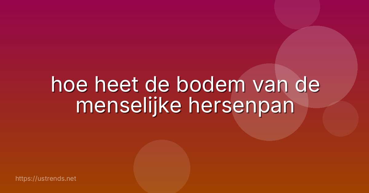 hoe heet de bodem van de menselijke hersenpan