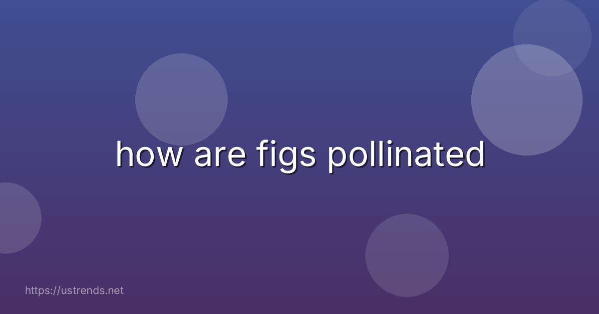 how are figs pollinated