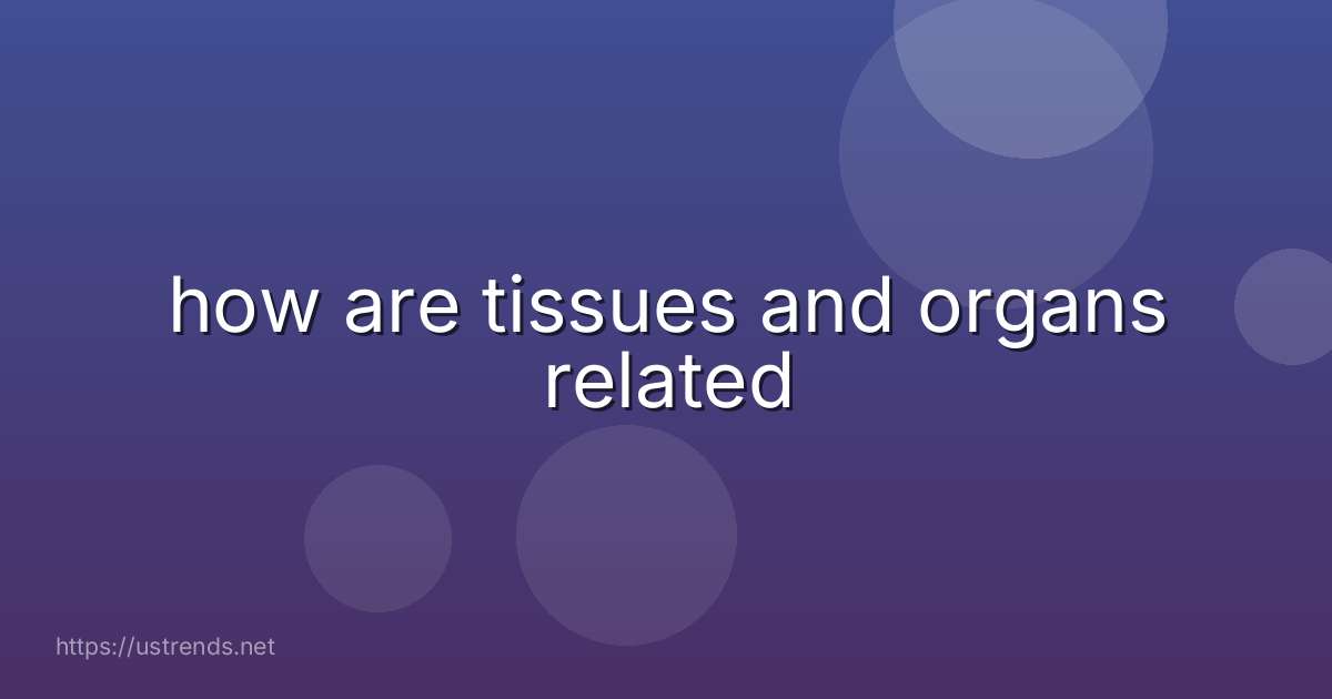 how are tissues and organs related