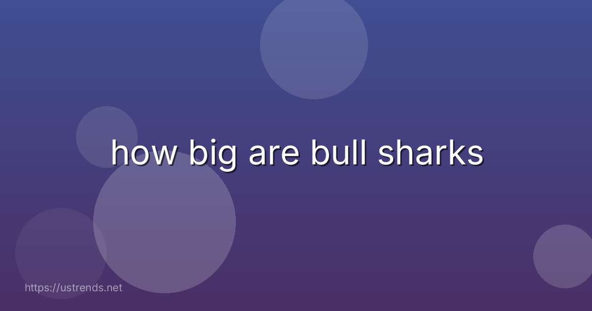 how big are bull sharks