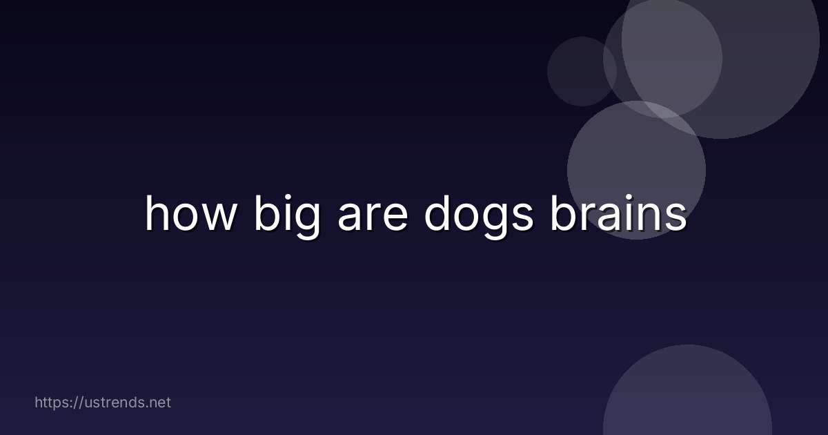 how big are dogs brains