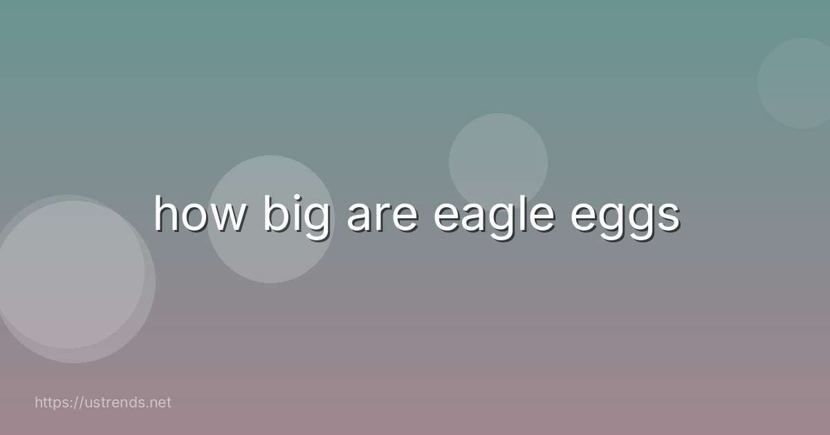 how big are eagle eggs