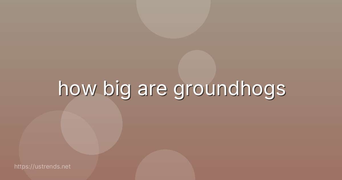 how big are groundhogs