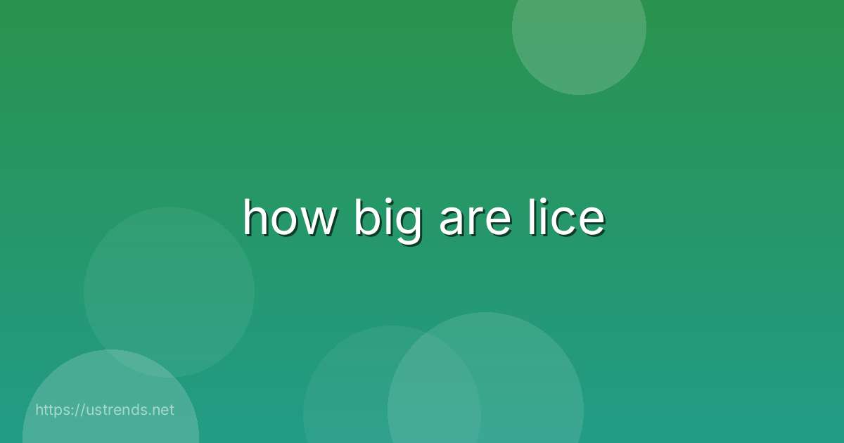 how big are lice