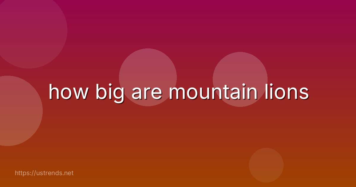 how big are mountain lions