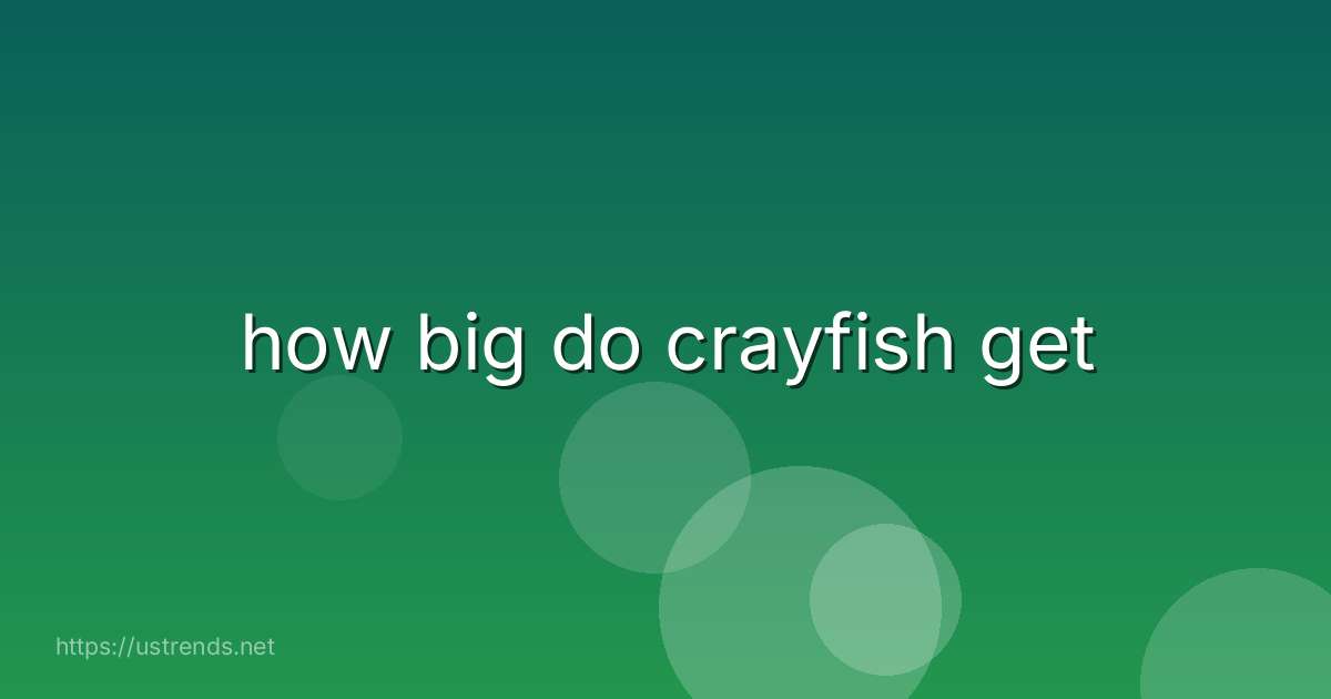 how big do crayfish get
