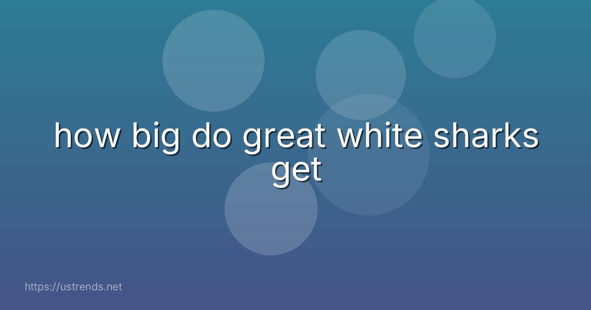 how big do great white sharks get