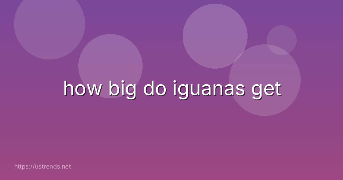 how big do iguanas get