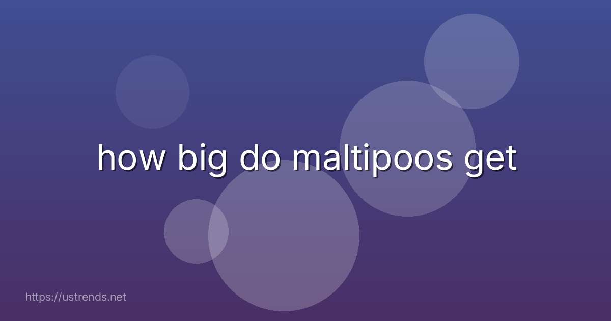 how big do maltipoos get
