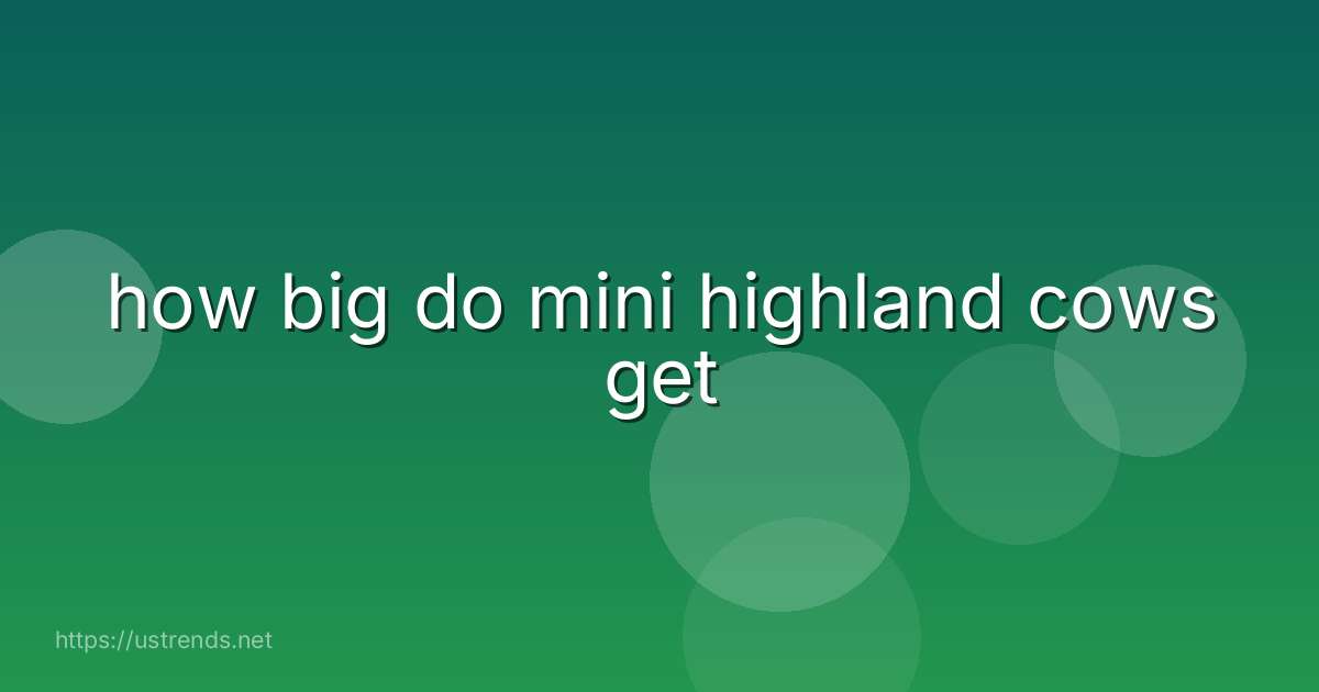 how big do mini highland cows get