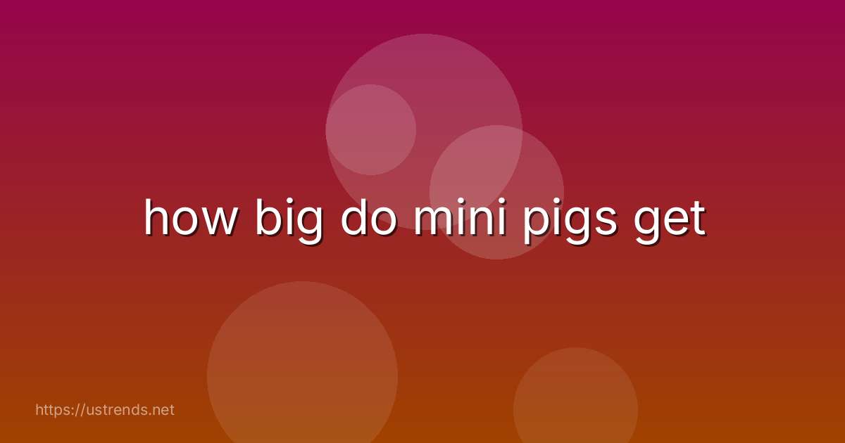 how big do mini pigs get