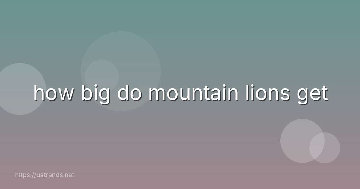 how big do mountain lions get