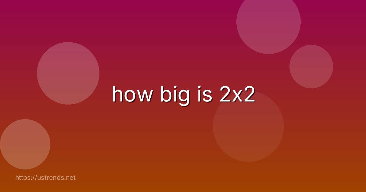 how big is 2x2