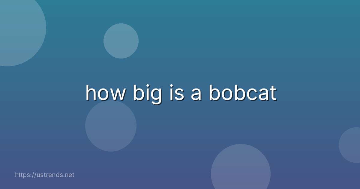 how big is a bobcat