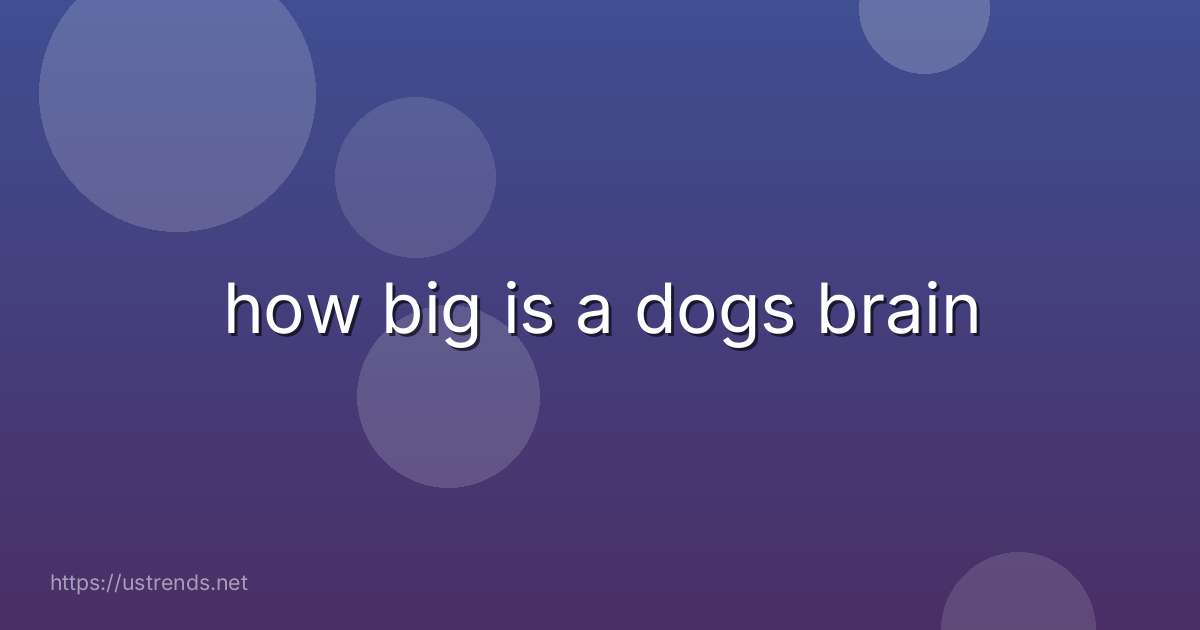how big is a dogs brain
