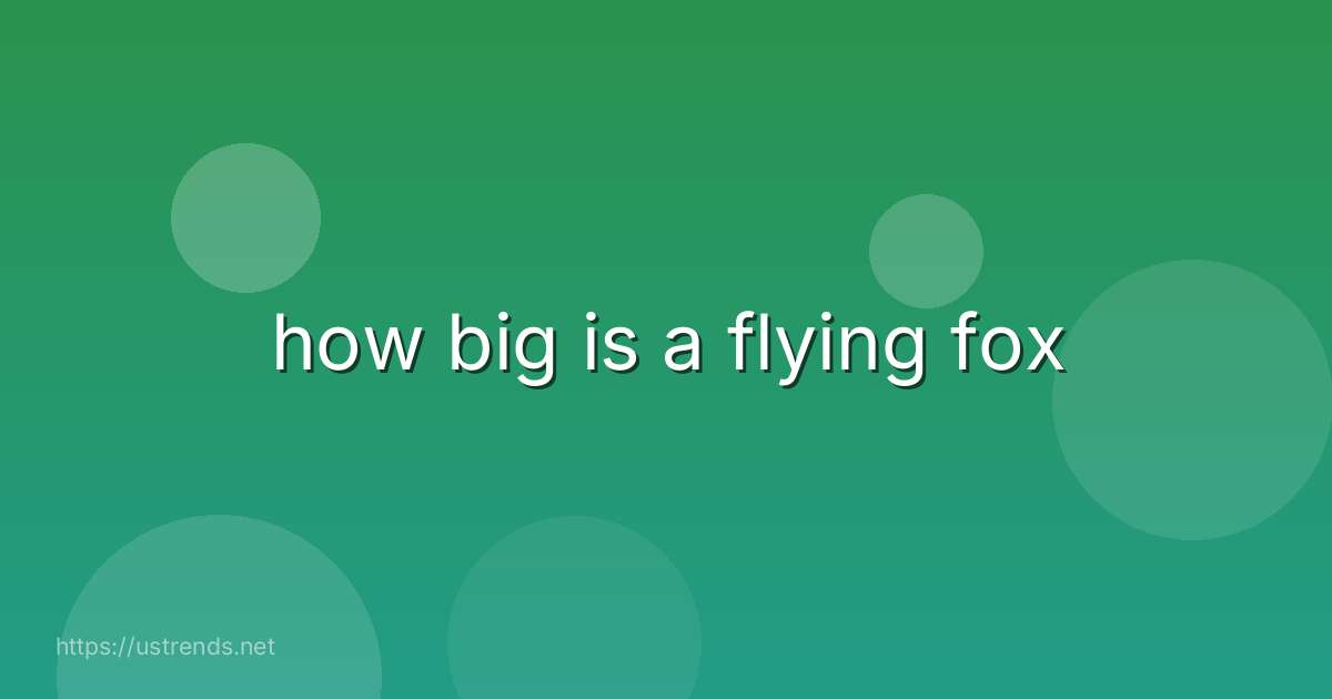 how big is a flying fox