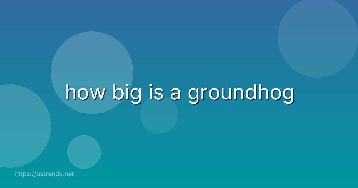 how big is a groundhog