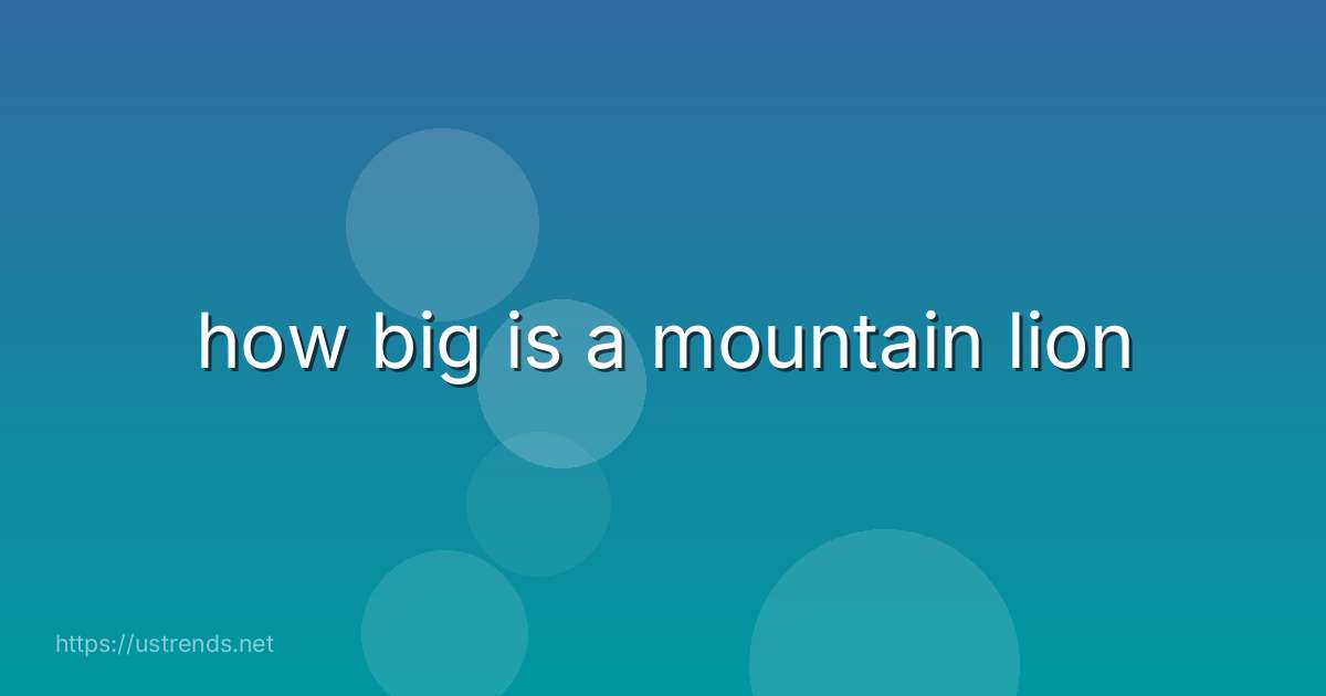 how big is a mountain lion