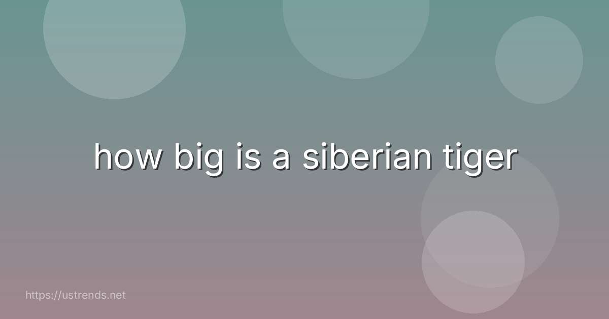 how big is a siberian tiger