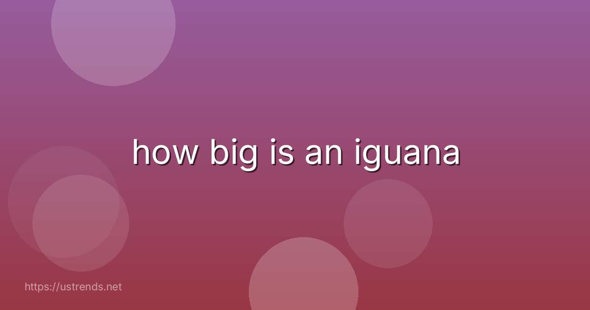 how big is an iguana