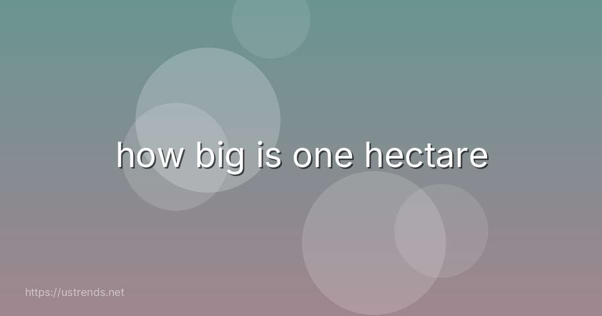 how big is one hectare