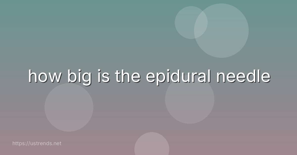 how big is the epidural needle
