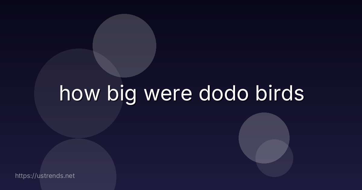 how big were dodo birds