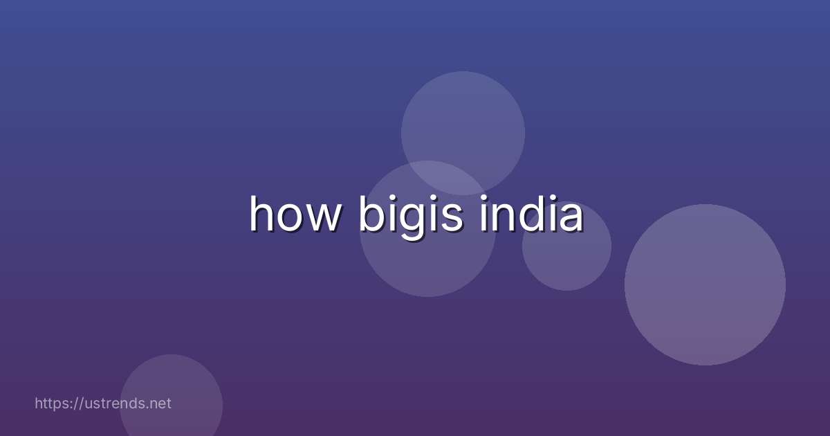 how bigis india