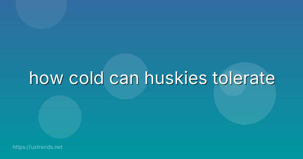 how cold can huskies tolerate