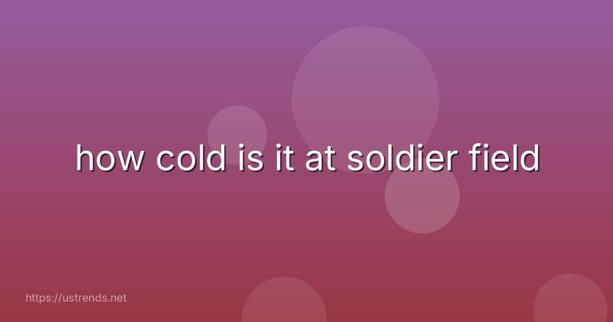 how cold is it at soldier field