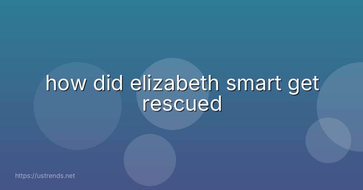 how did elizabeth smart get rescued
