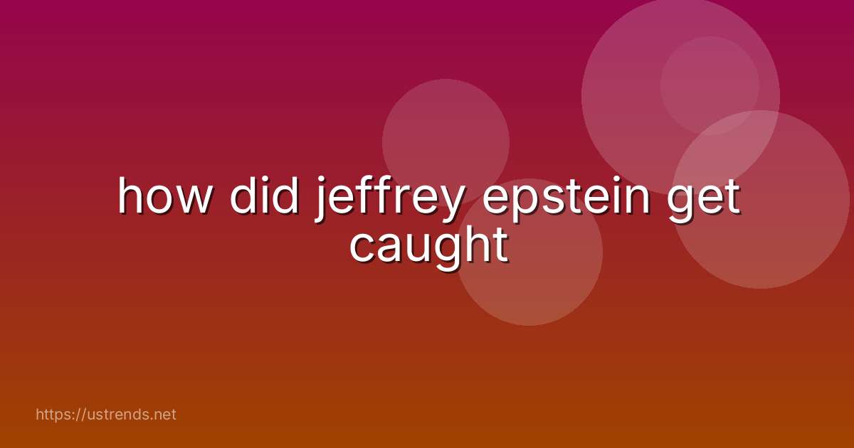 how did jeffrey epstein get caught