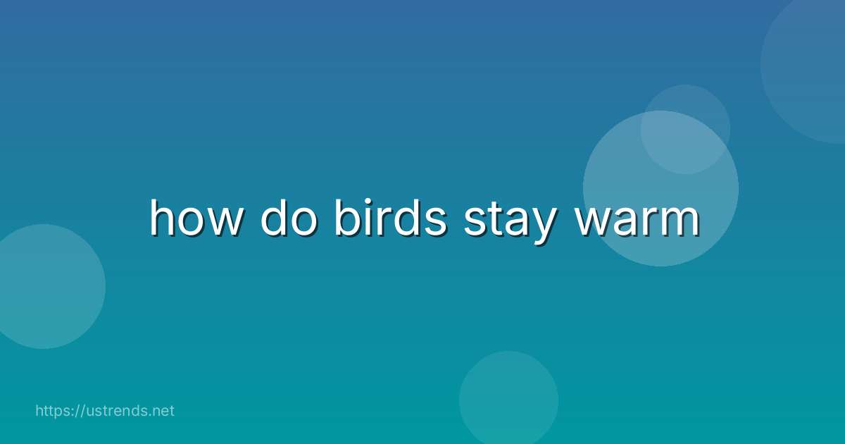 how do birds stay warm