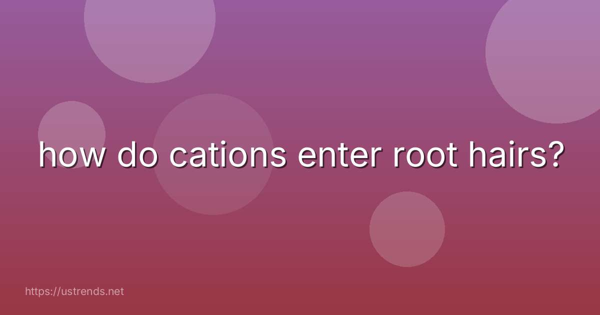 how do cations enter root hairs?
