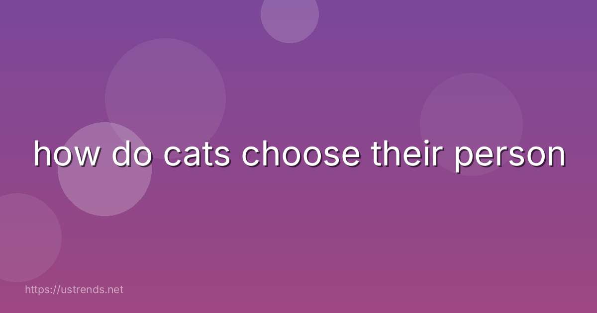 how do cats choose their person
