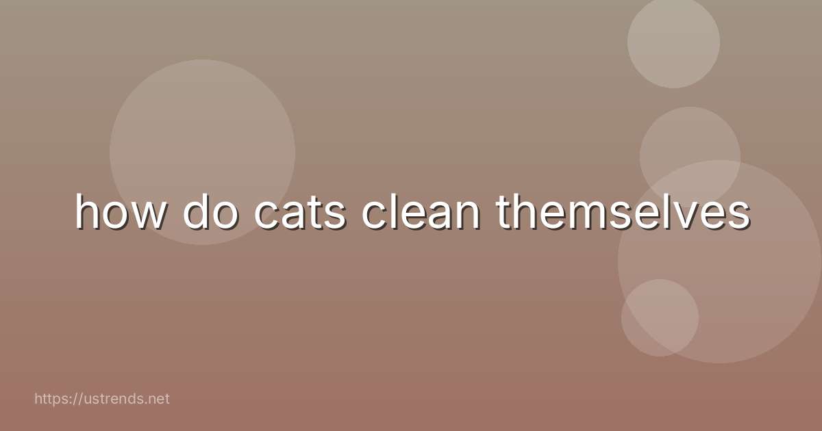how do cats clean themselves