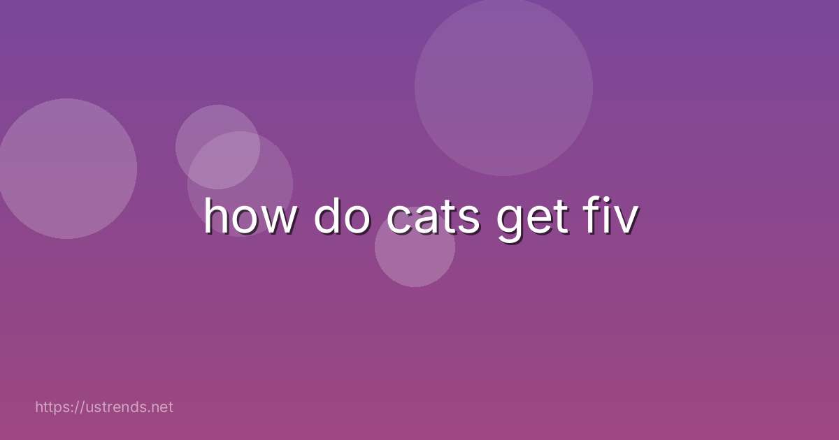 how do cats get fiv