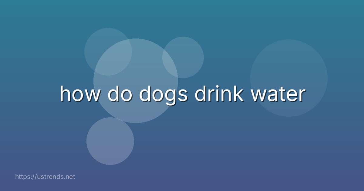how do dogs drink water