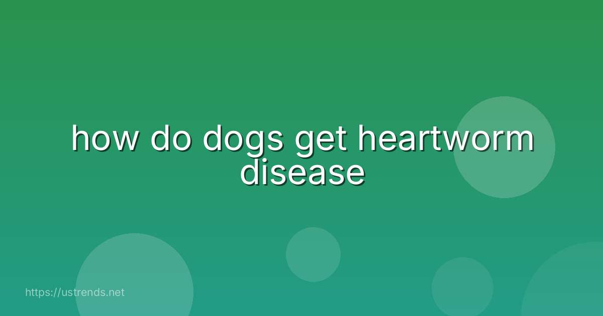 how do dogs get heartworm disease