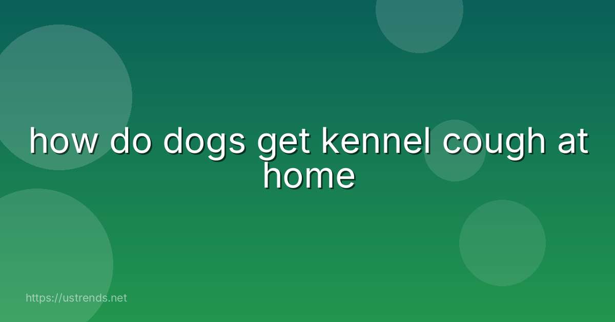 how do dogs get kennel cough at home