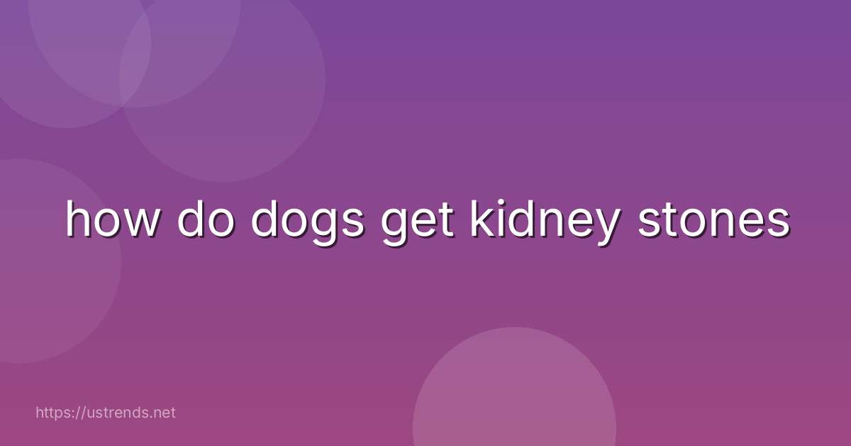 how do dogs get kidney stones