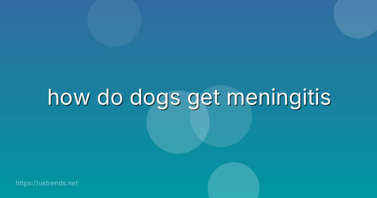 how do dogs get meningitis