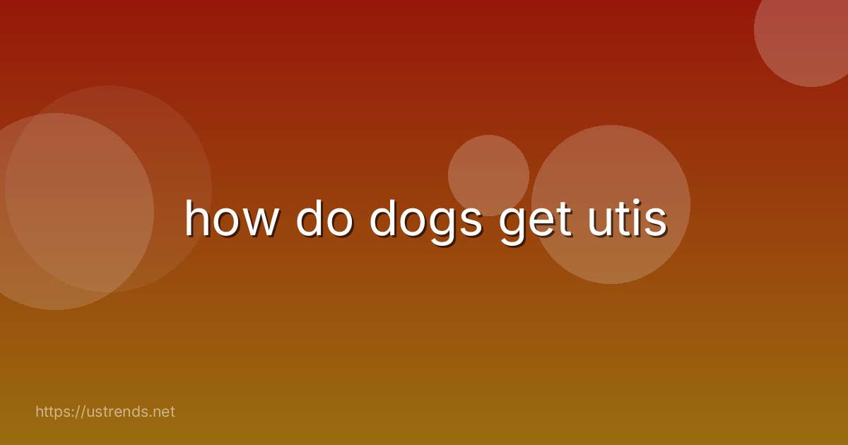 how do dogs get utis