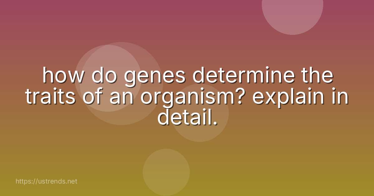 how do genes determine the traits of an organism? explain in detail.