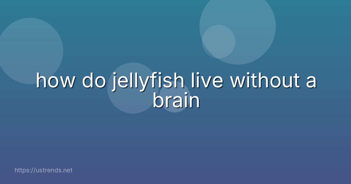 how do jellyfish live without a brain
