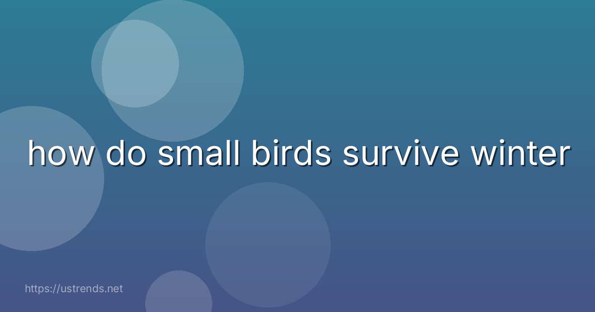 how do small birds survive winter