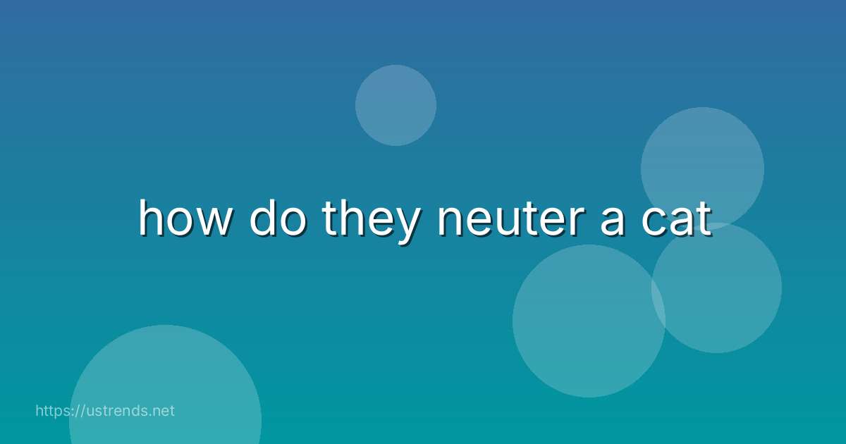 how do they neuter a cat